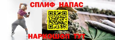 бошки Балашиха