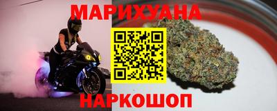 ALPHA PVP Гай