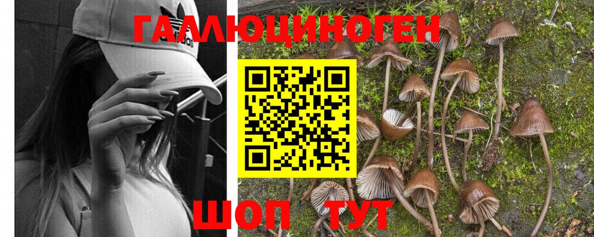 Галлюциногенные грибы GOLDEN TEACHER Иркутск