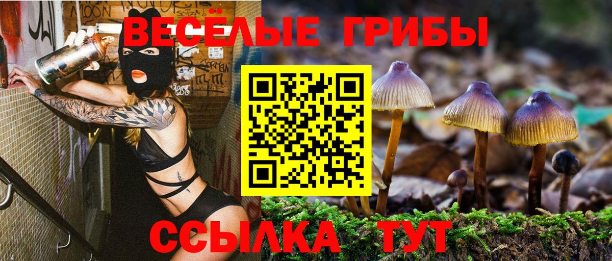 Галлюциногенные грибы GOLDEN TEACHER  Иркутск  Галлюциногенные грибы ЛСД 